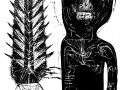 cactumano13-b