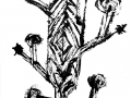 cactus2-b
