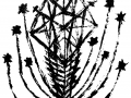 cactus4-b