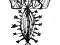 cactus6-b