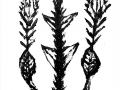 cactus7-b