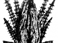 cactus8-b