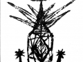 cactus9-b